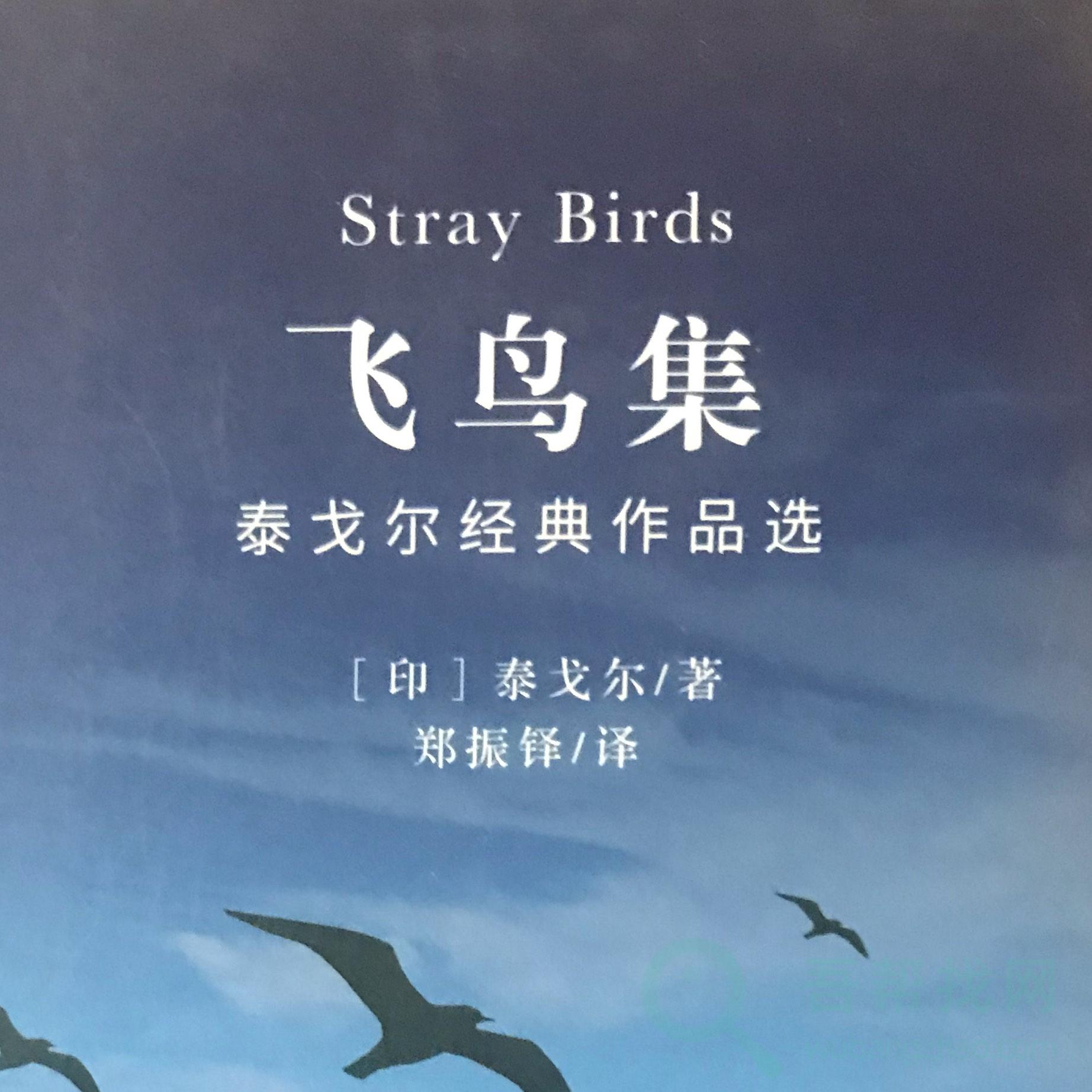 《飞鸟集》每一天都是一个新的开始-第1张-吾帮找网 《飞鸟集》每一天都是一个新的开始-第1张-吾帮找网