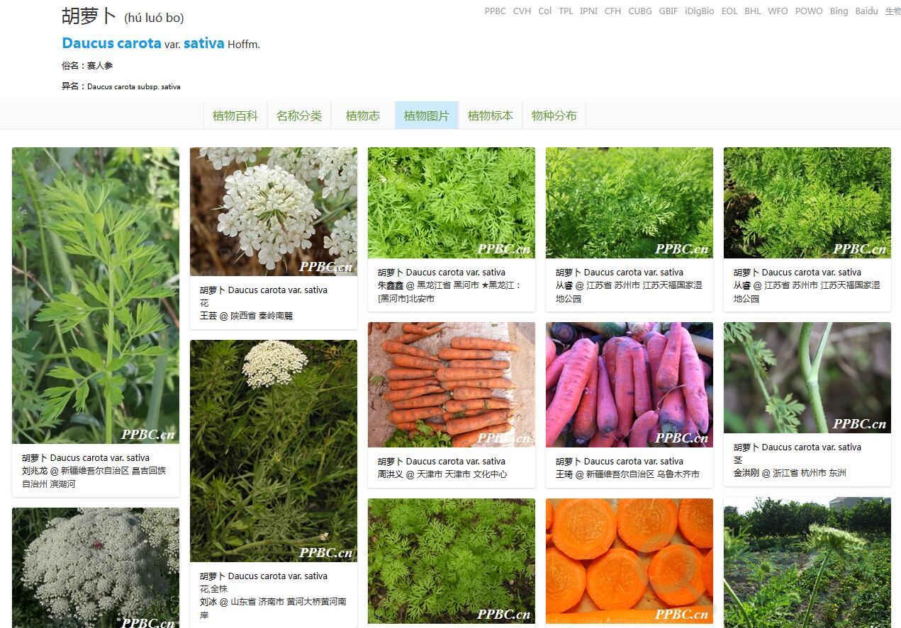 生物志库让你了解植物动物和菌物-第2张-吾帮找网 生物志库让你了解植物动物和菌物-第2张-吾帮找网