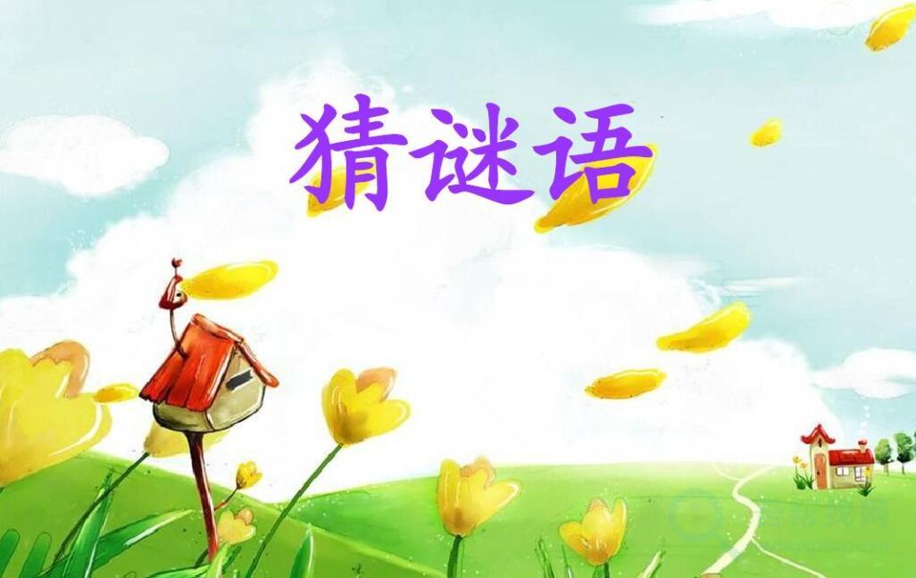 50道打一物谜题带答案-第1张-吾帮找网 50道打一物谜题带答案-第1张-吾帮找网
