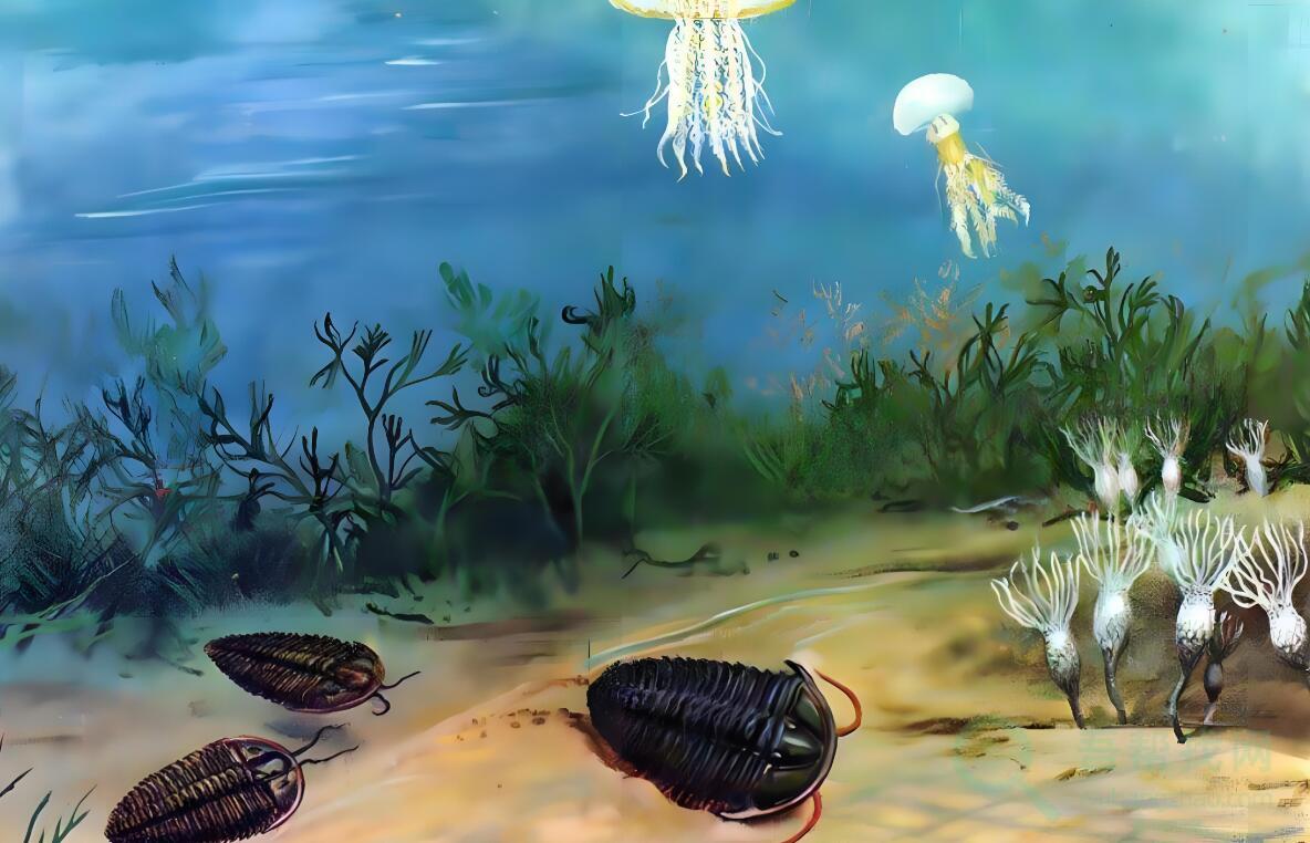 生命是从哪里来的?-第1张-吾帮找网 生命是从哪里来的?-第1张-吾帮找网