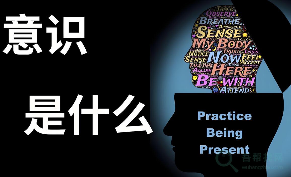 为什么生命会有意识?-第1张-吾帮找网 为什么生命会有意识?-第1张-吾帮找网